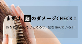ダメージチェック