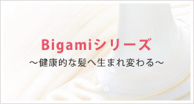 Bigamiシリーズ